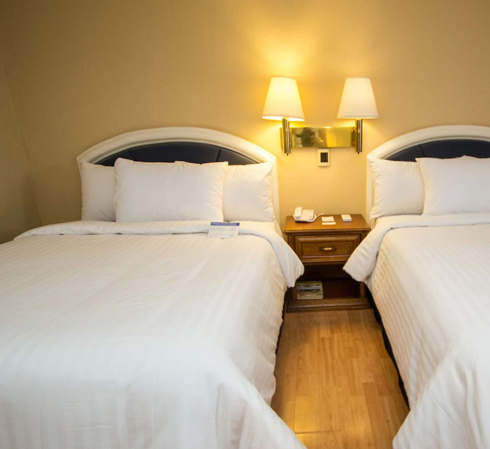 Hotel Gran Plaza & Convention Center Guanajuato Kültér fotó